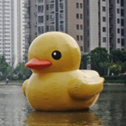 inflatable duck cartoon